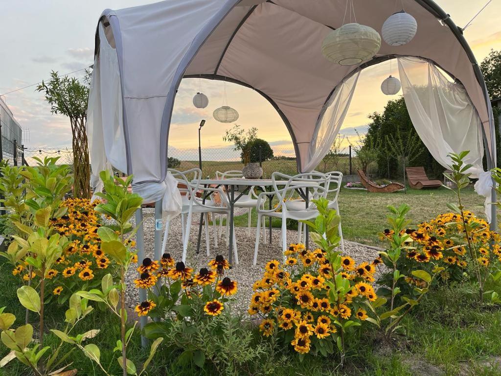 Liwa Garden Krzywa 11 Apartment ภายนอก รูปภาพ